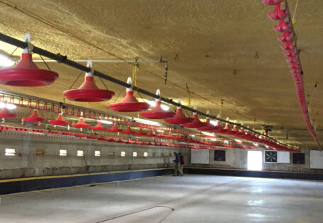 Ocieplenie obiektów inwentarskich