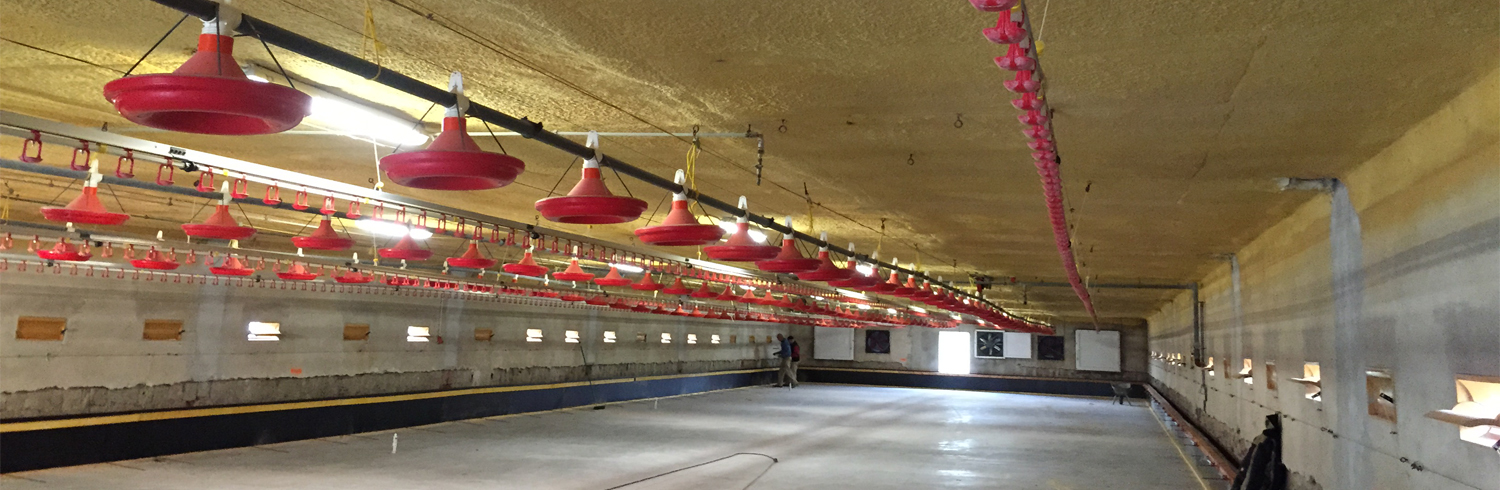 Ocieplenie obiektów inwentarskich